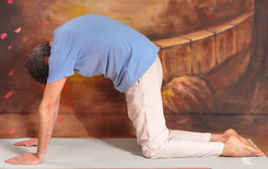 Marjariasana 2-Macskapóz 2